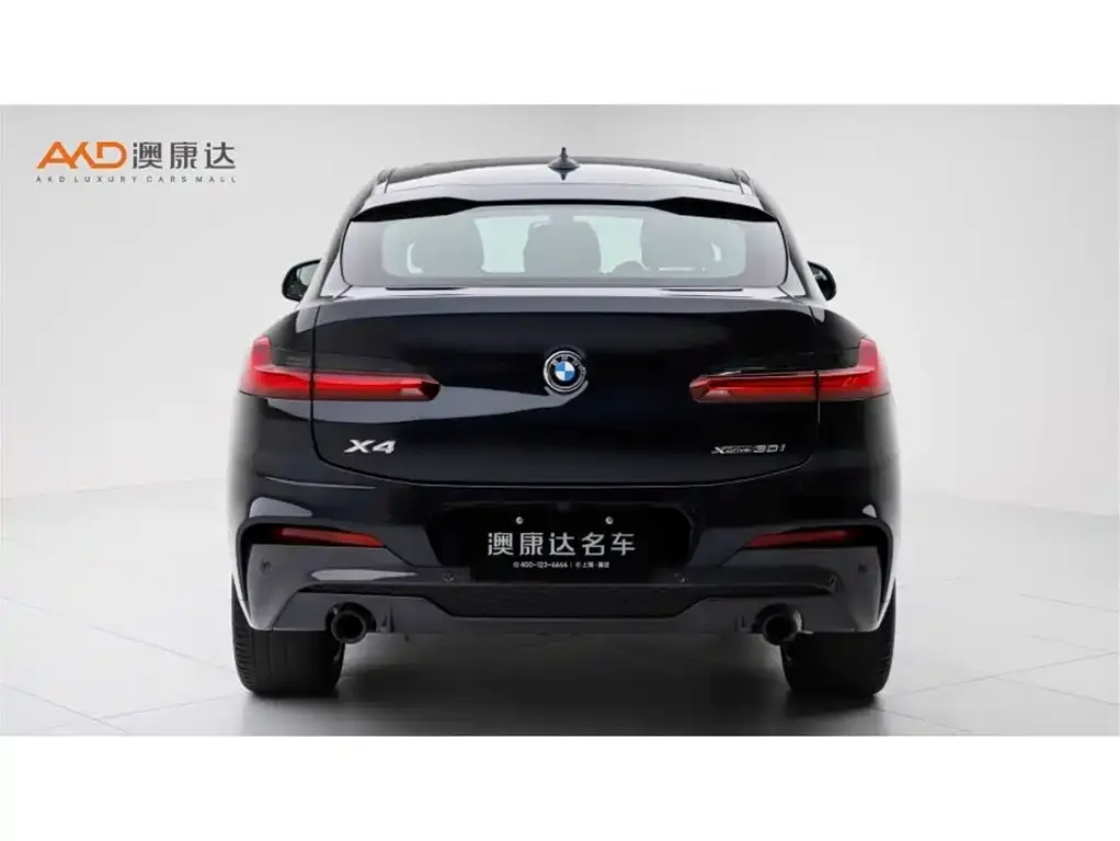 BMW X4 2021 из CN, фото 6