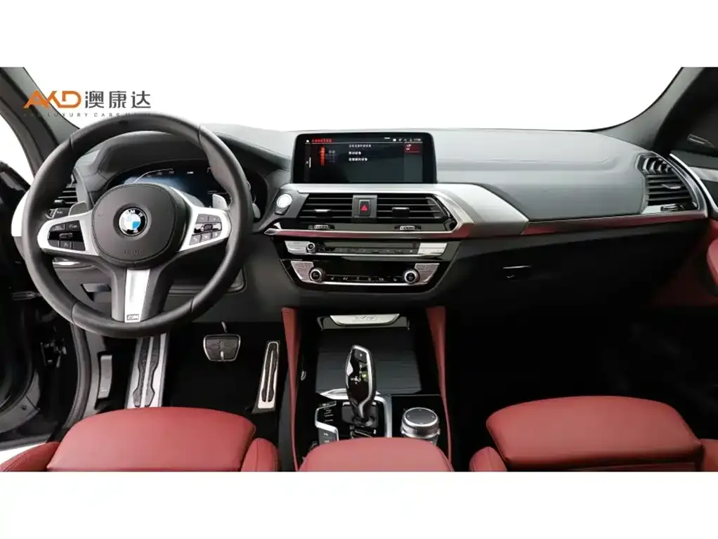 BMW X4 2021 из CN, фото 4