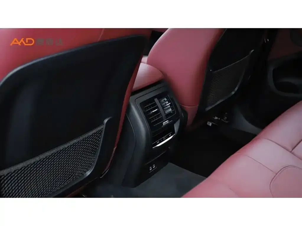 BMW X4 2021 из CN, фото 10