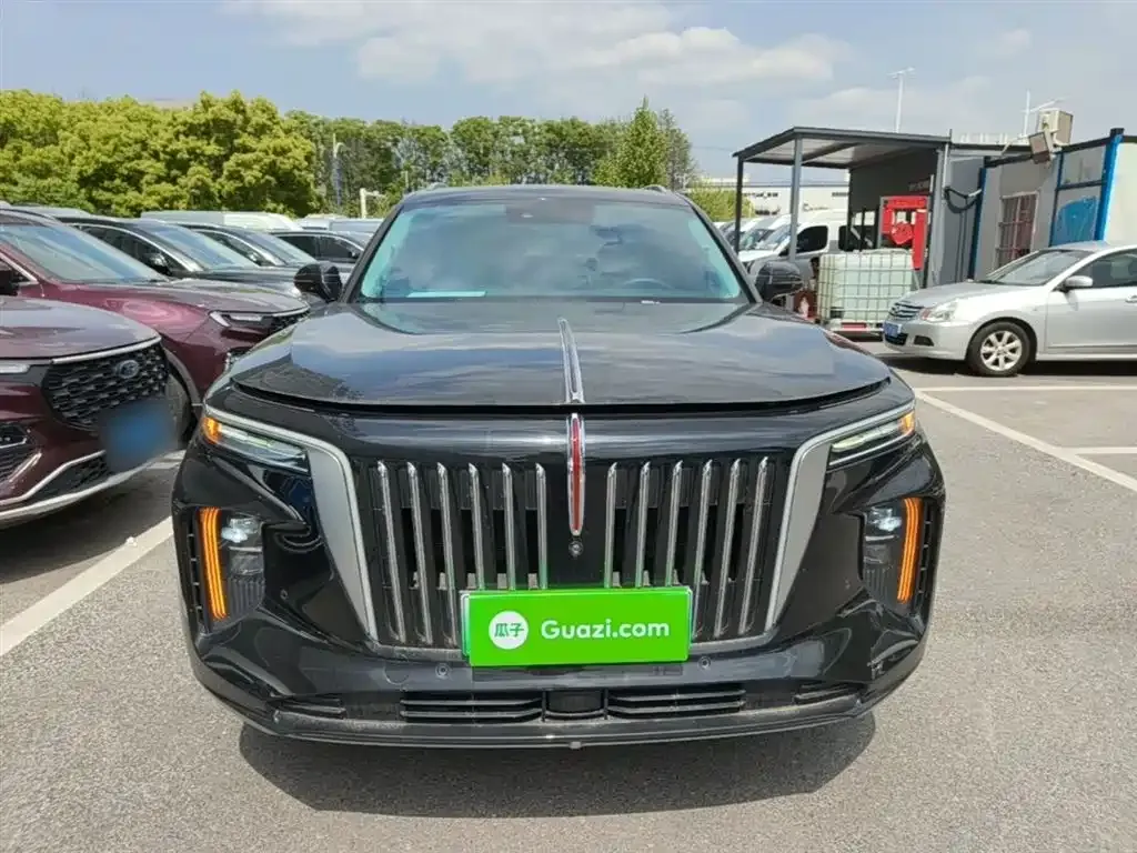 Hongqi E-HS9 2023 из CN, фото 7