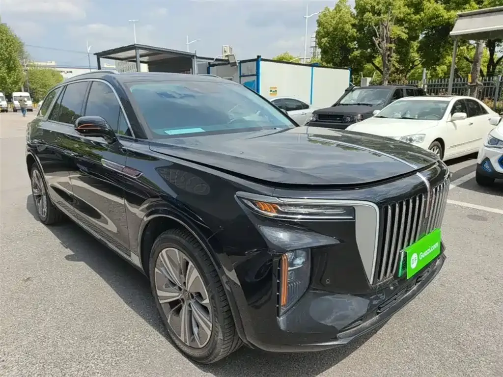 Hongqi E-HS9 2023 из CN, фото 10