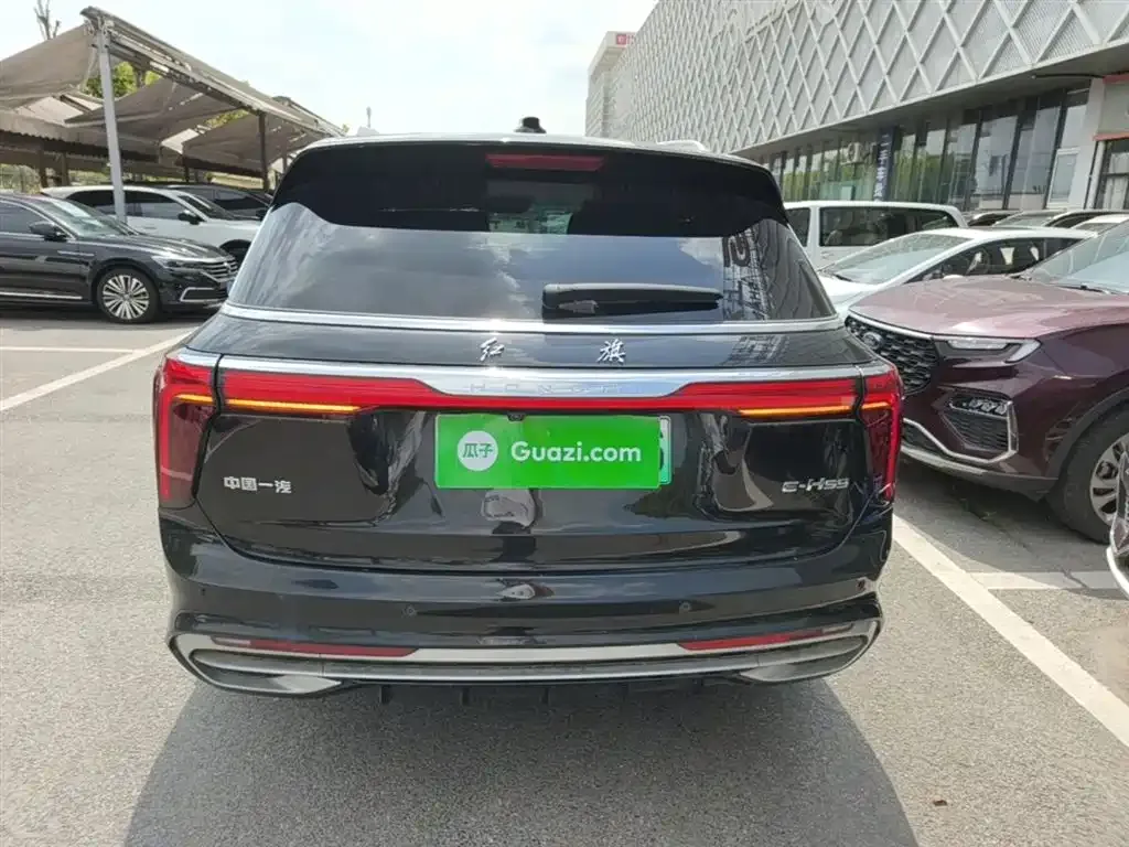 Hongqi E-HS9 2023 из CN, фото 4