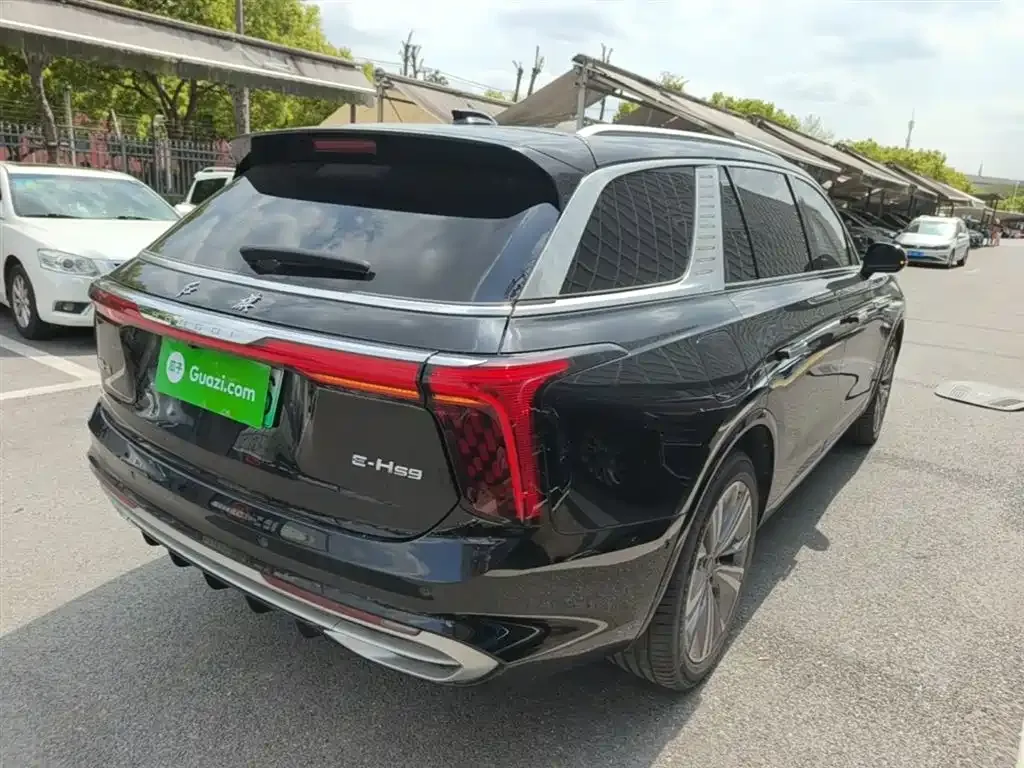 Hongqi E-HS9 2023 из CN, фото 2