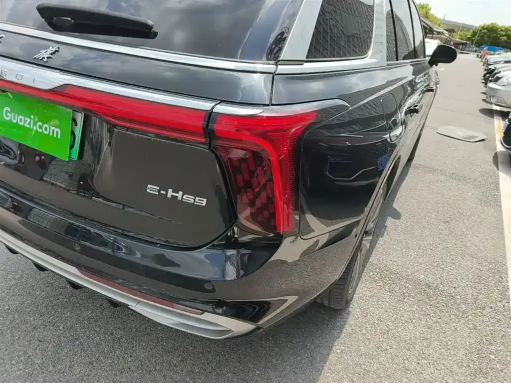 Hongqi E-HS9 2023 из CN, фото 9