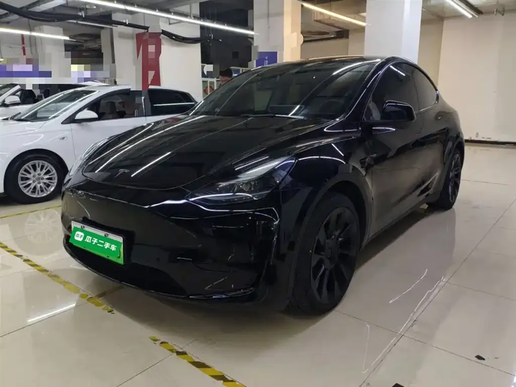 Tesla Model Y — фото 8