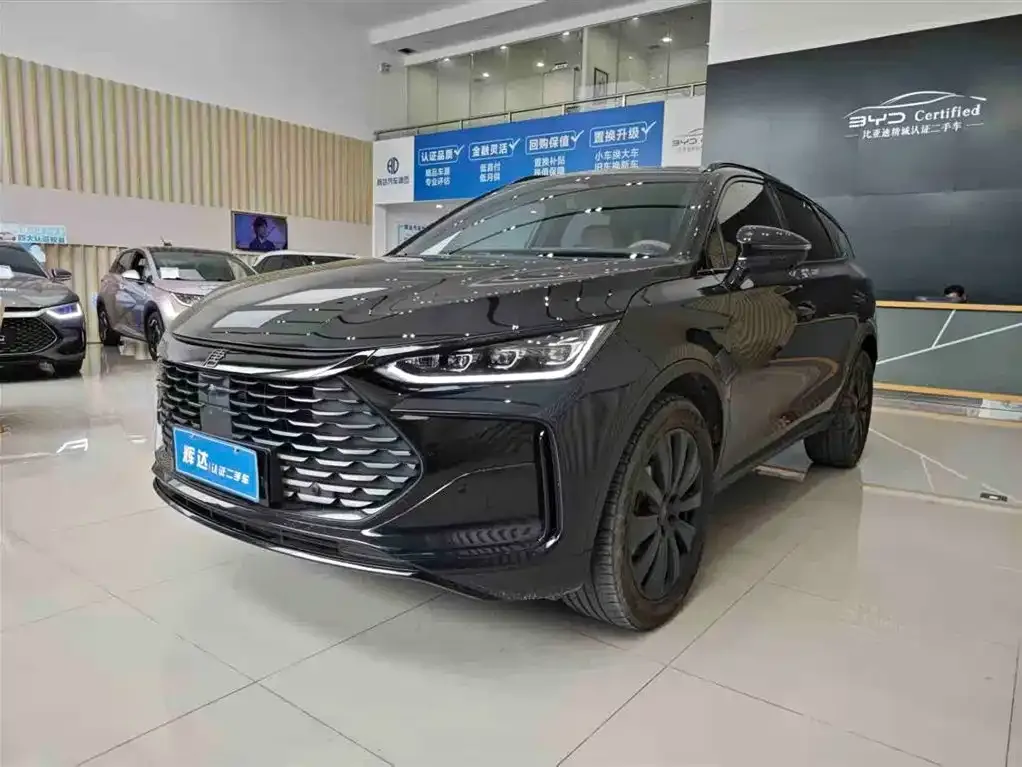 BYD Tang New Energy — фото 1