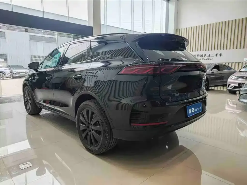 BYD Tang New Energy — фото 10