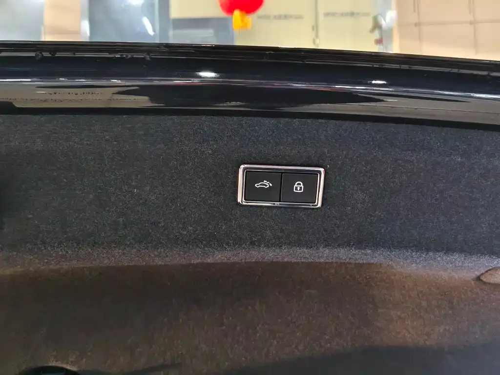 Volkswagen Phideon 2023 из CN, фото 2