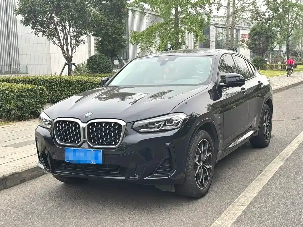 BMW X4 — фото 1