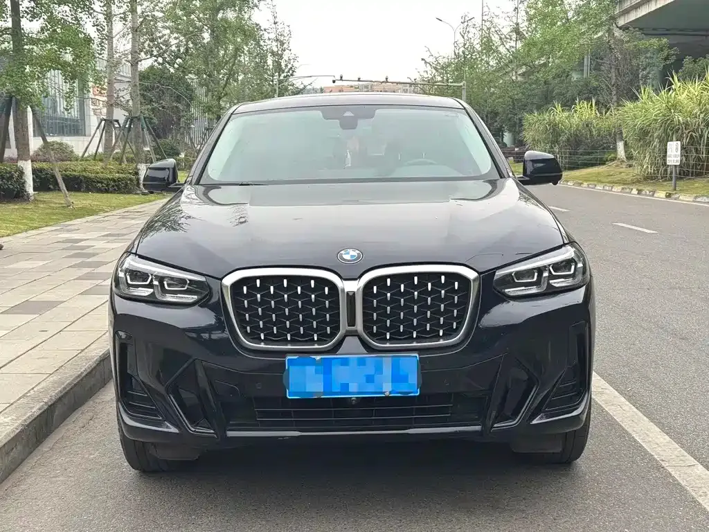 BMW X4 — фото 9