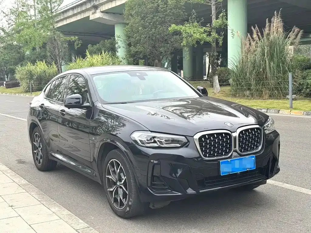 BMW X4 — фото 8