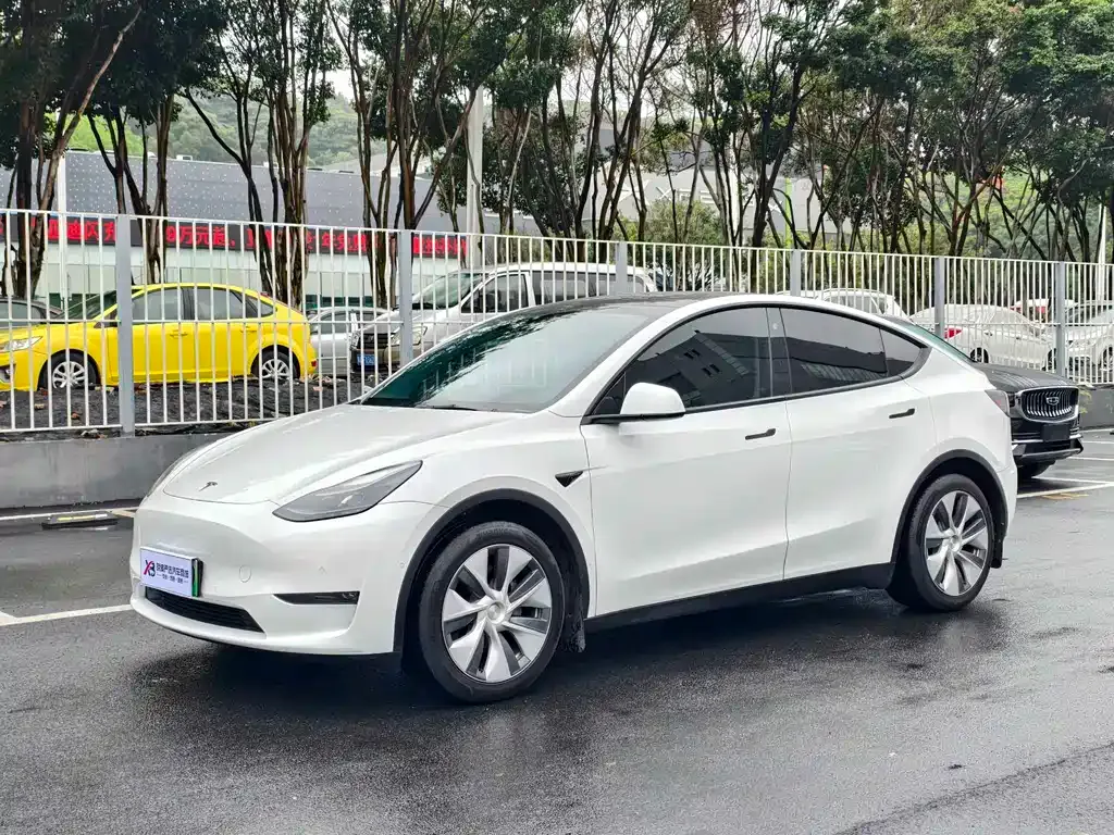 Tesla Model Y — фото 1