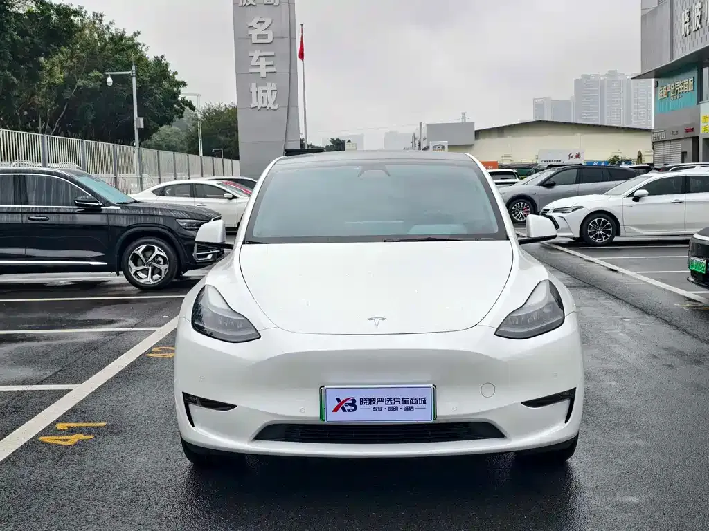 Tesla Model Y — фото 10