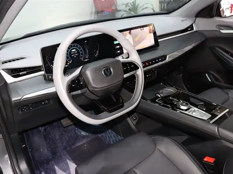 Changan Ruicheng PLUS 2024 из CN, фото 7