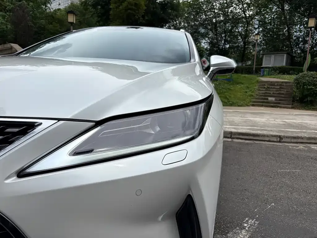 Lexus RX 2022 из CN, фото 9