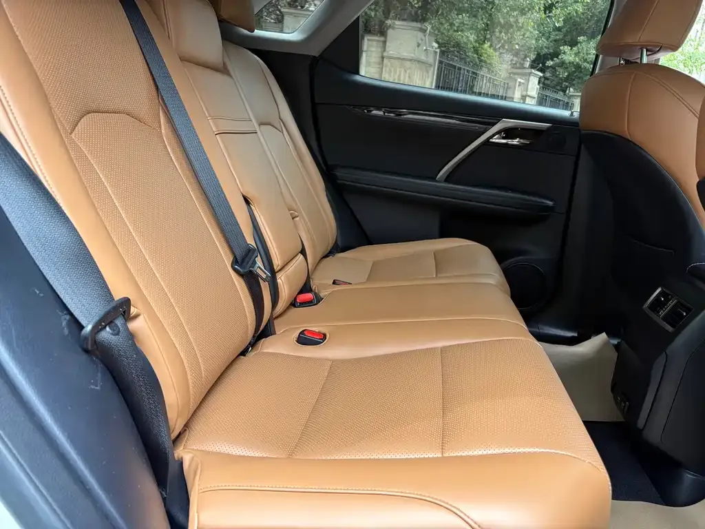 Lexus RX 2022 из CN, фото 5