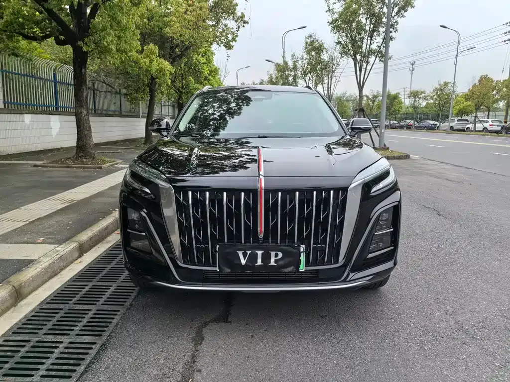 Hongqi HS3 PHEV 2025 из CN, фото 7