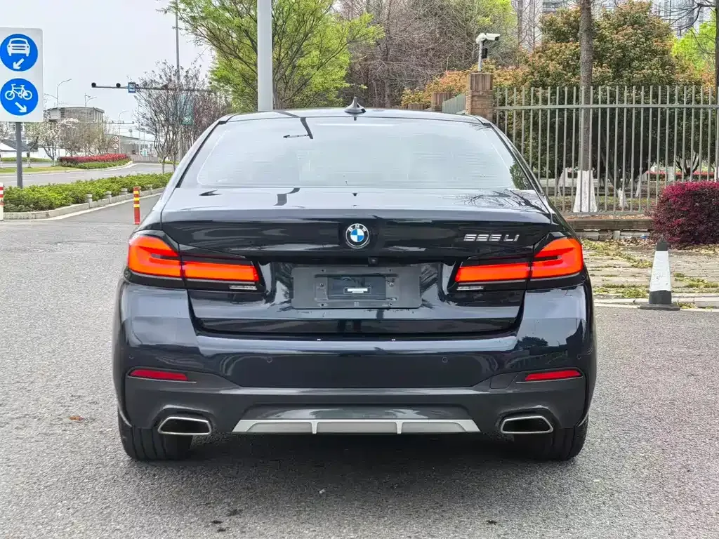 BMW 5 Series 2023 из CN, фото 8