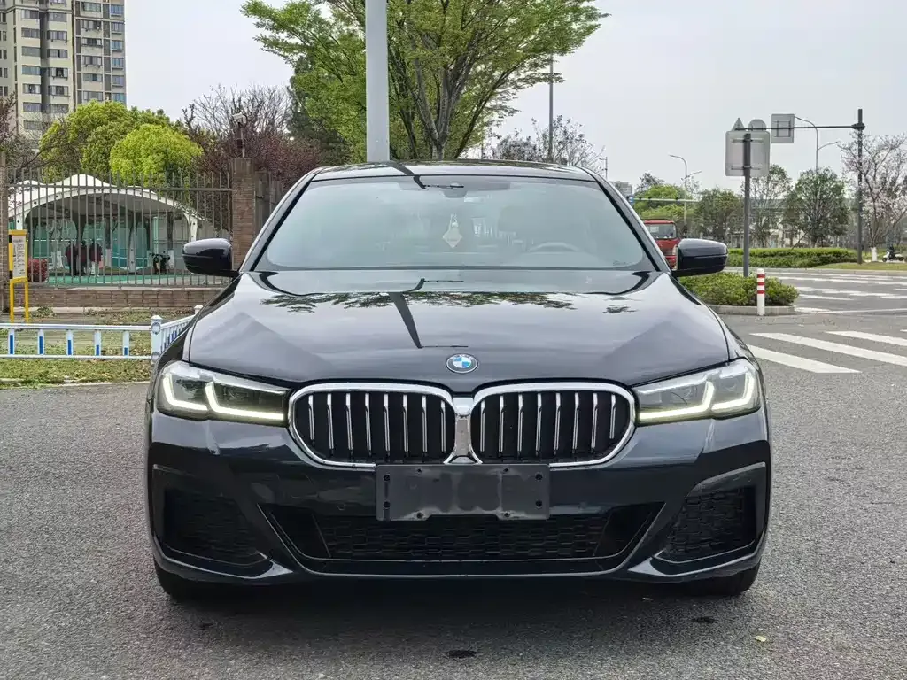 BMW 5 Series 2023 из CN, фото 9