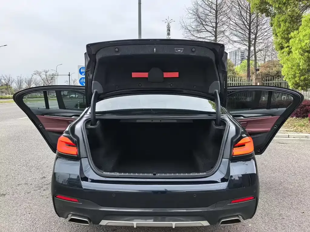 BMW 5 Series 2023 из CN, фото 6