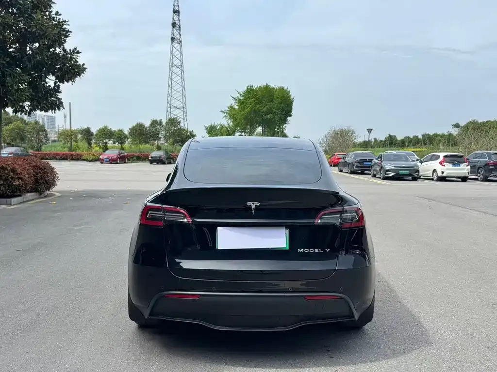 Tesla Model Y — фото 8