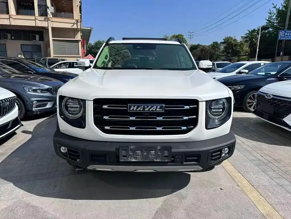 Haval Big Dog — фото 10
