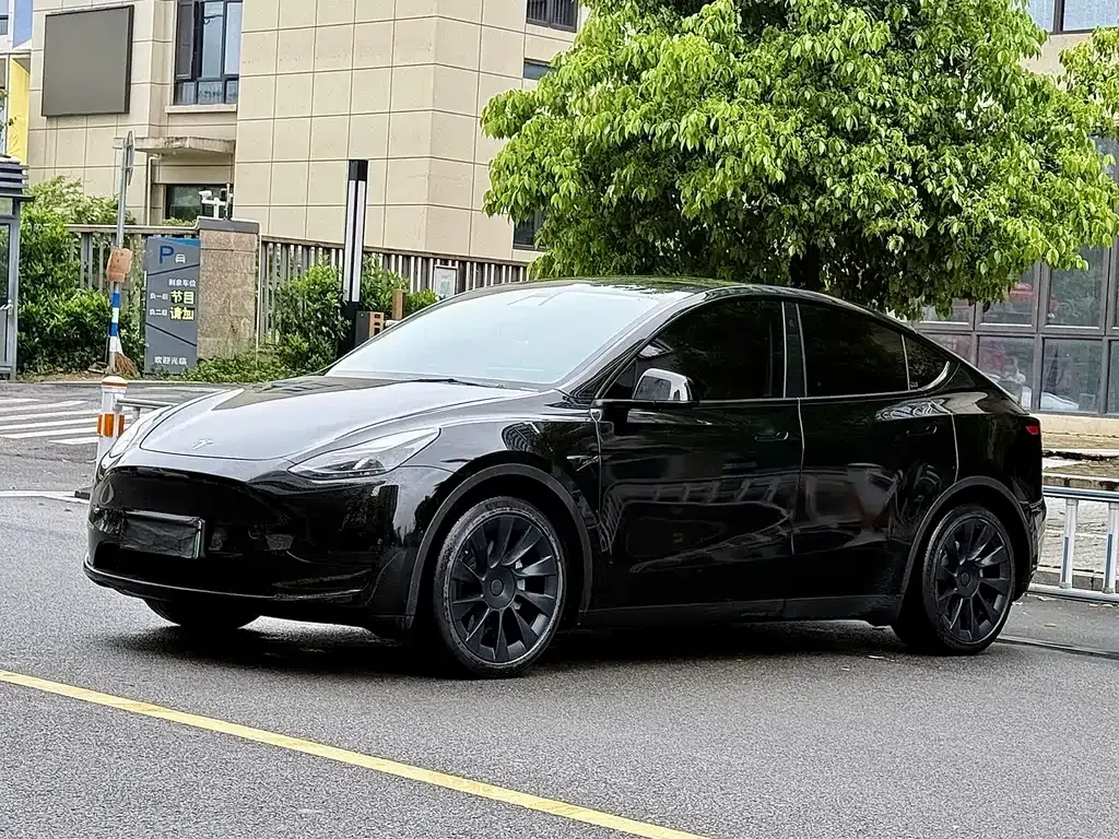 Tesla Model Y — фото 1