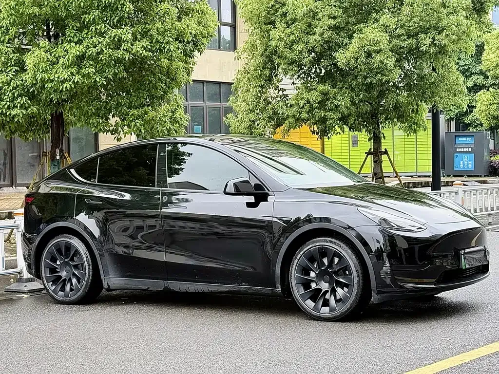 Tesla Model Y — фото 9