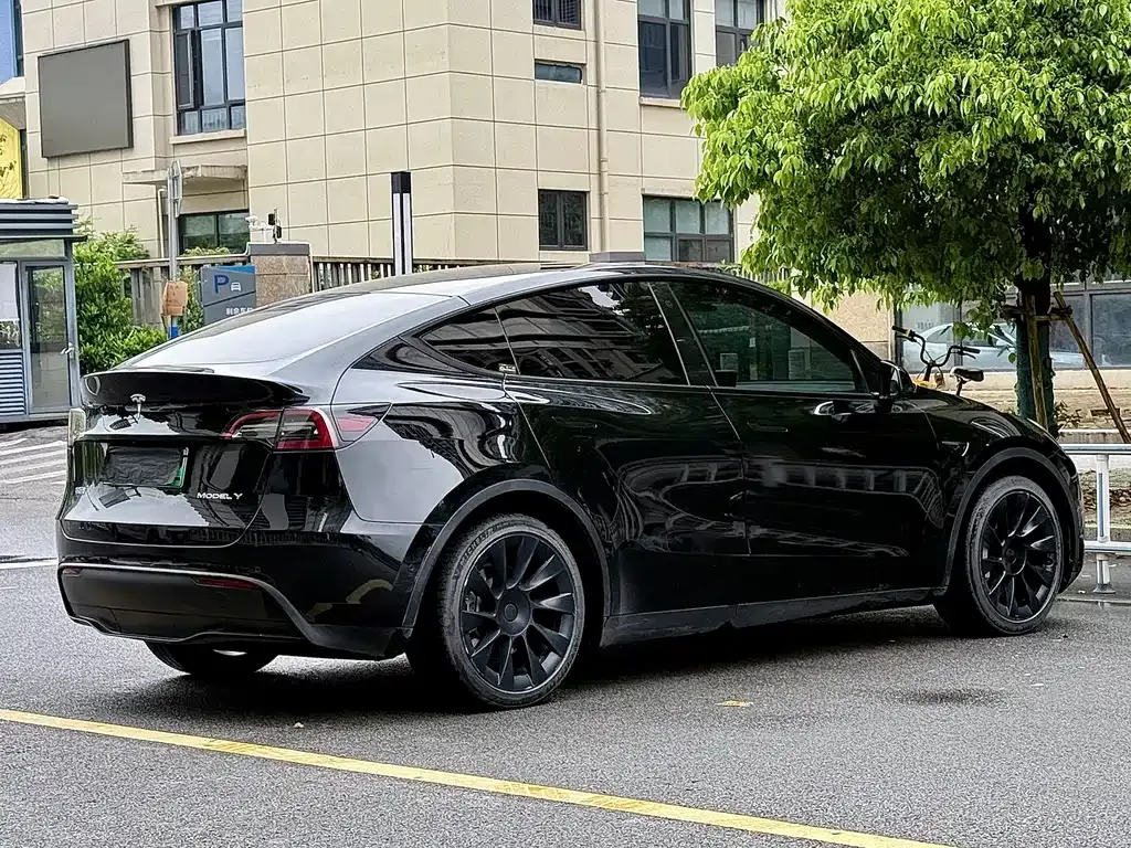 Tesla Model Y — фото 10