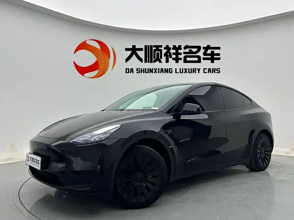 Tesla Model Y — фото 1