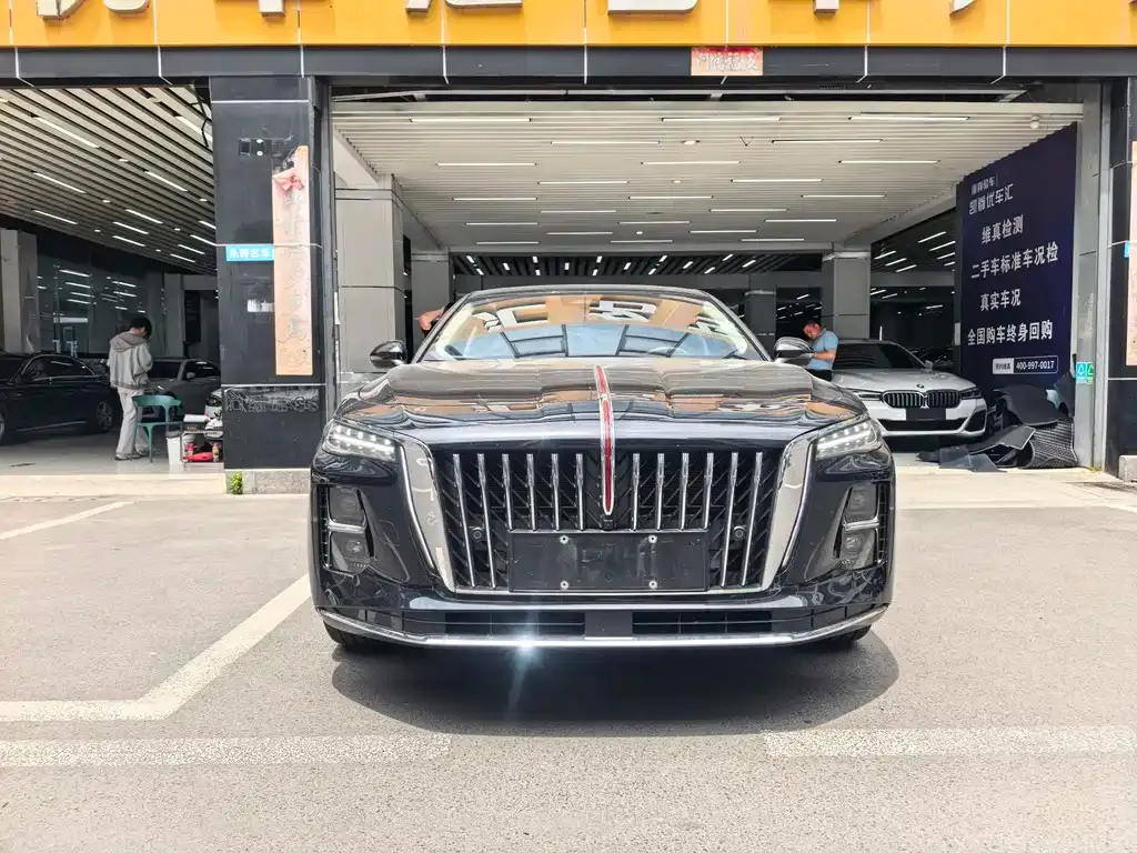 Hongqi H5 PHEV 2025 из CN, фото 4