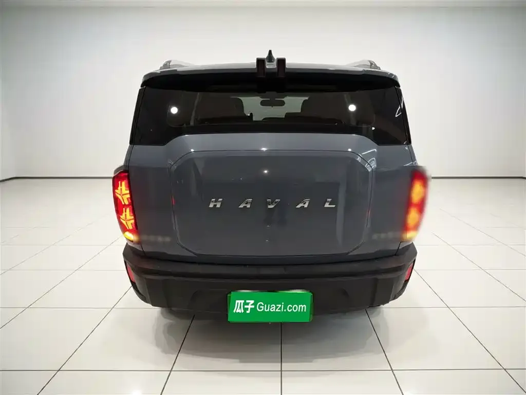 Haval Cool Dog 2024 из CN, фото 9