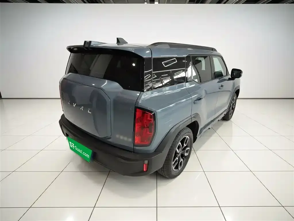 Haval Cool Dog 2024 из CN, фото 7