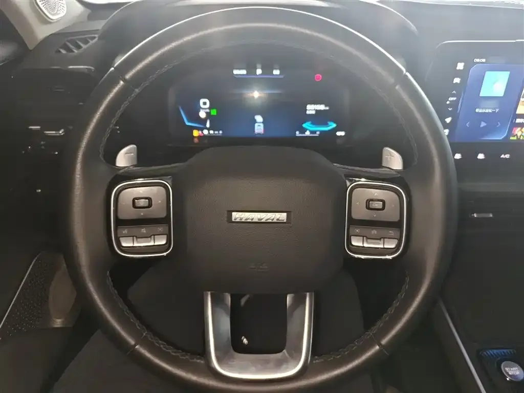 Haval Cool Dog 2024 из CN, фото 2