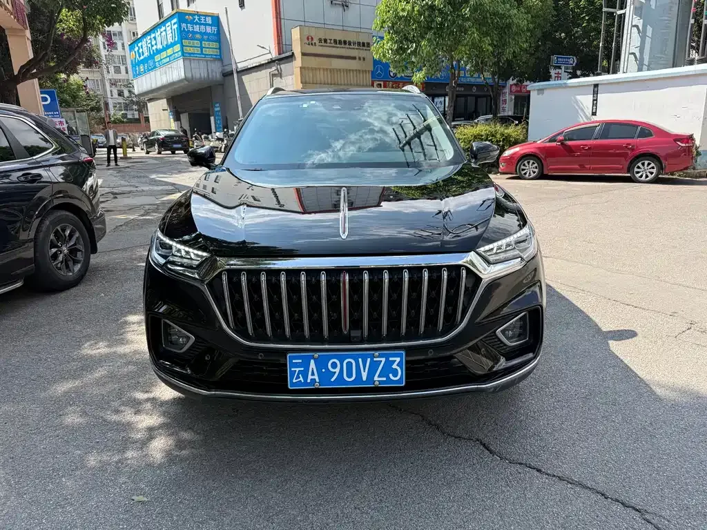 Hongqi HS5 2023 из CN, фото 10