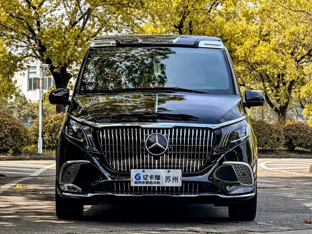 Mercedes-Benz Vito 2022 из CN, фото 4