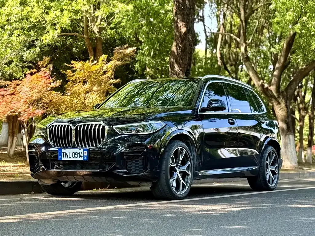 BMW X5 — фото 1