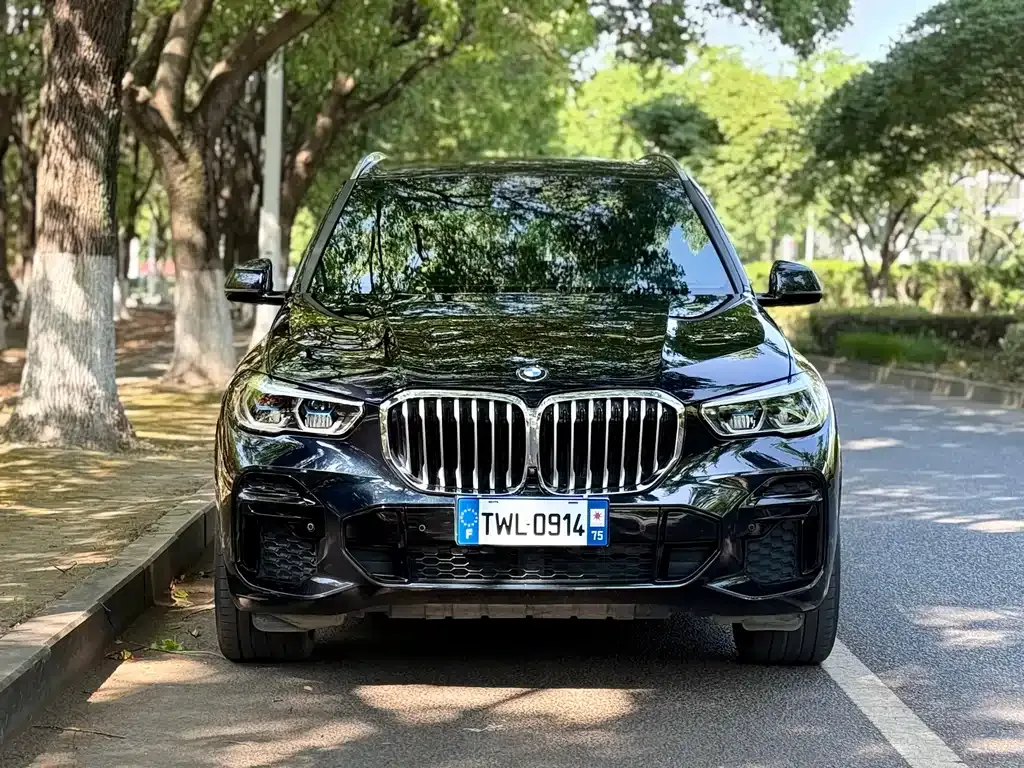 BMW X5 — фото 9