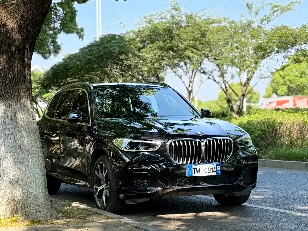 BMW X5 — фото 4