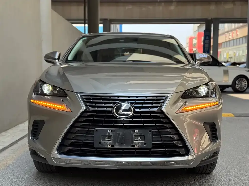 Lexus NX 2022 из CN, фото 5