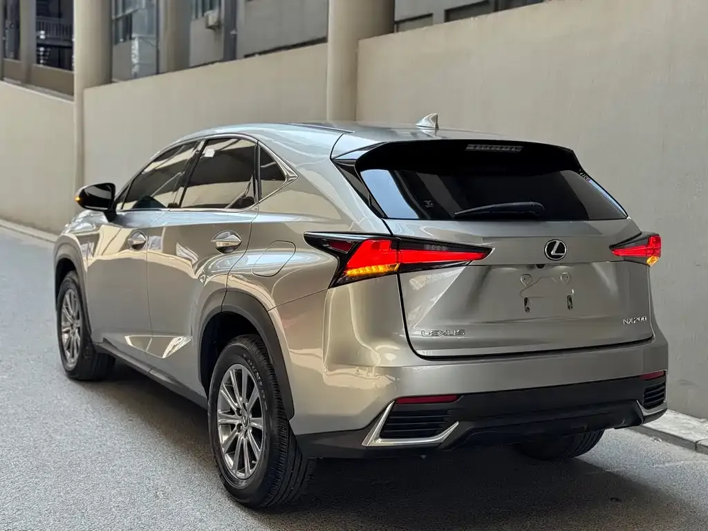 Lexus NX 2022 из CN, фото 8