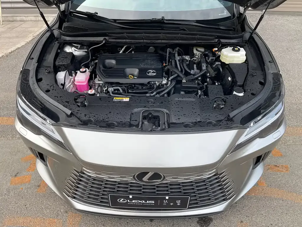 Lexus RX — фото 10