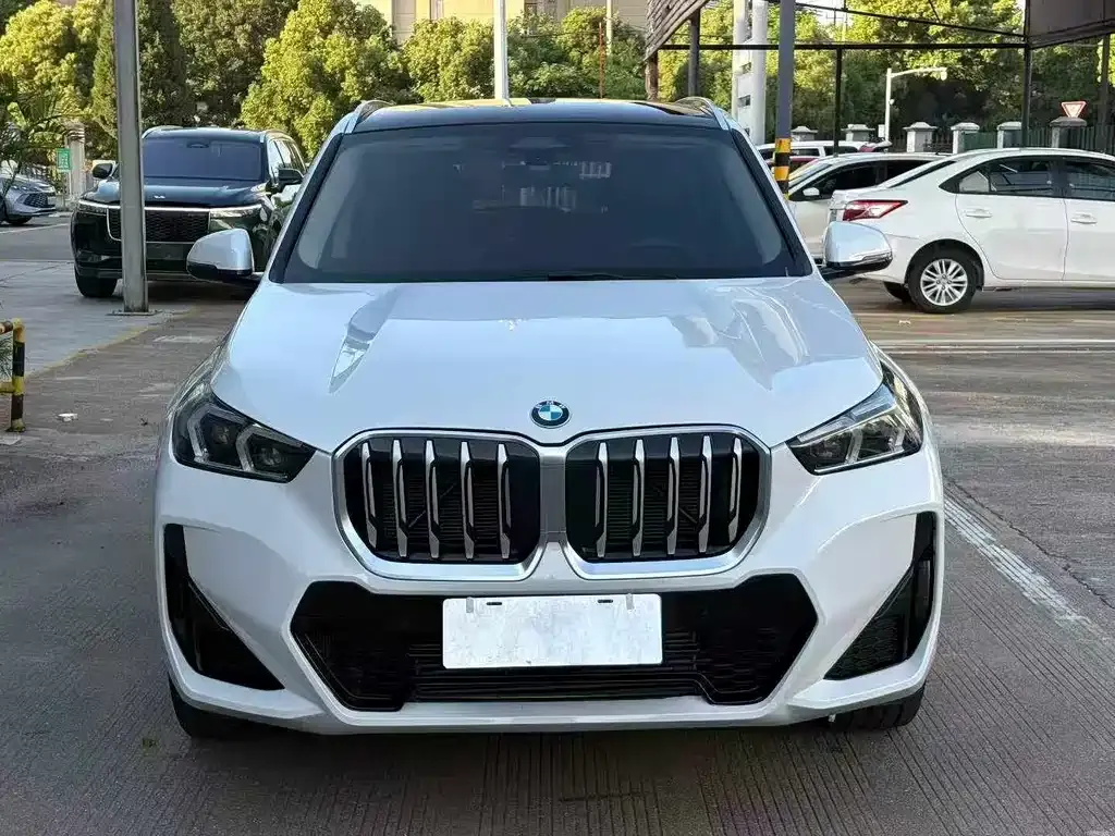BMW X1 2024 из CN, фото 6