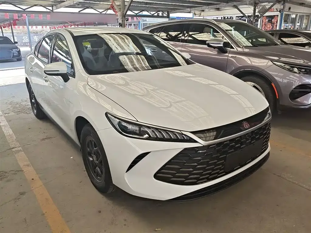 BYD Qin PLUS — фото 10