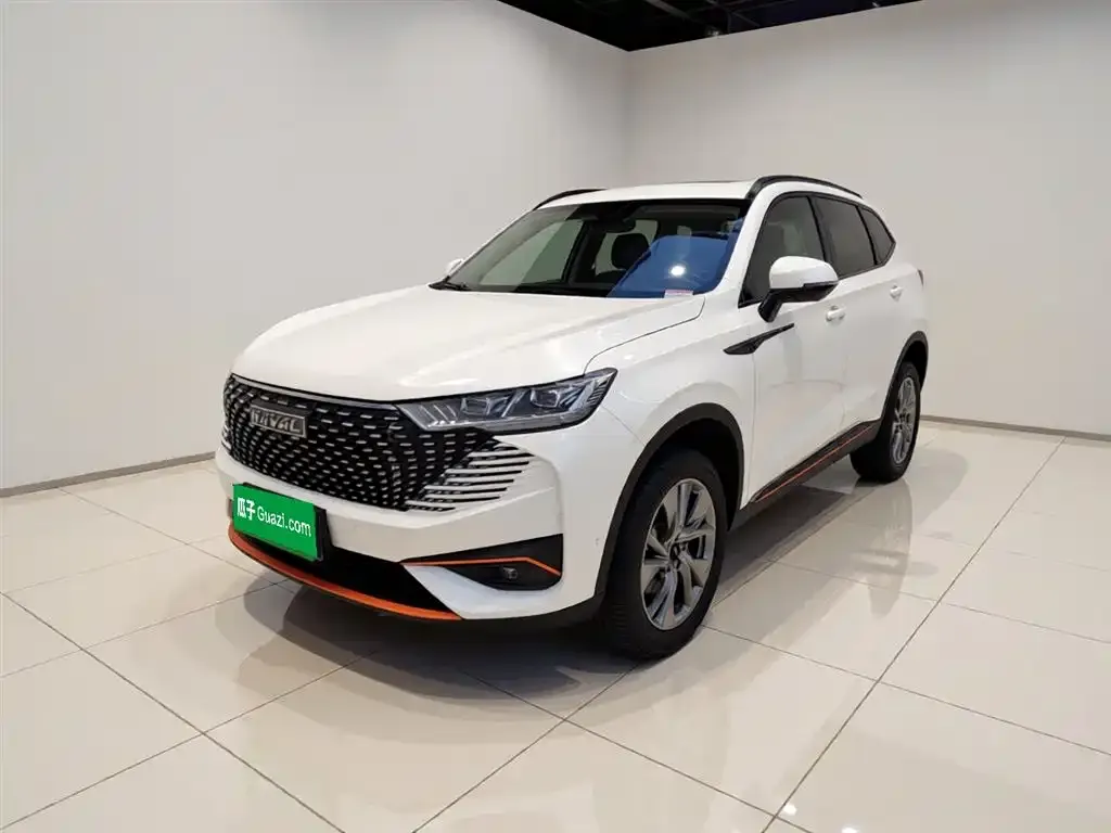 Haval H6 2021 из CN, фото 9