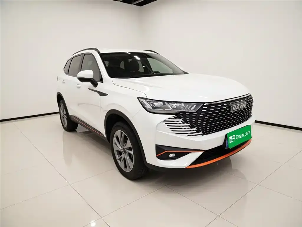 Haval H6 2021 из CN, фото 2