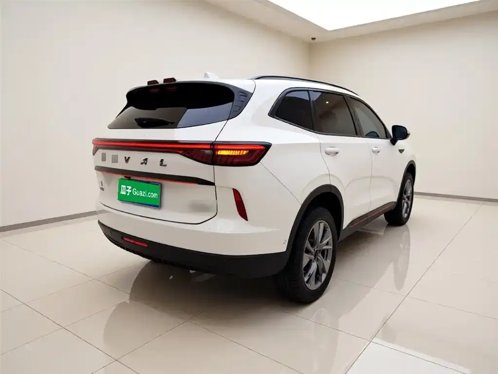 Haval H6 2021 из CN, фото 8