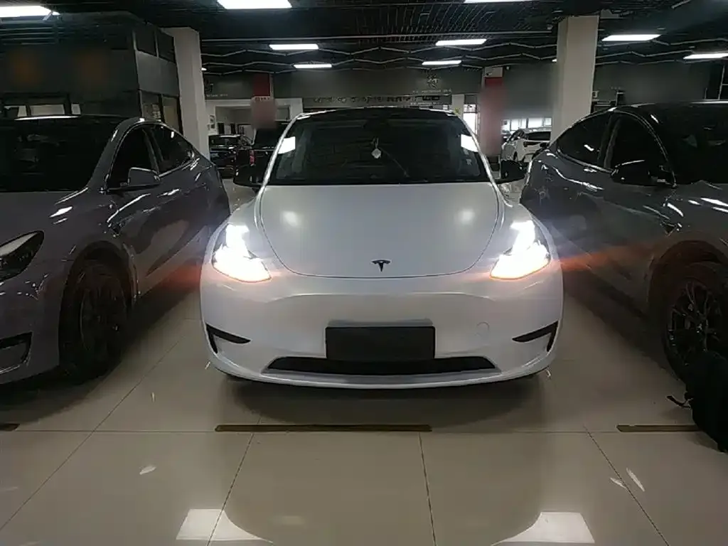 Tesla Model Y 2024 из CN, фото 6