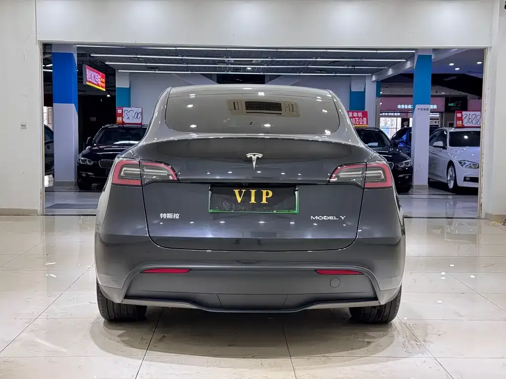 Tesla Model Y 2024 из CN, фото 6