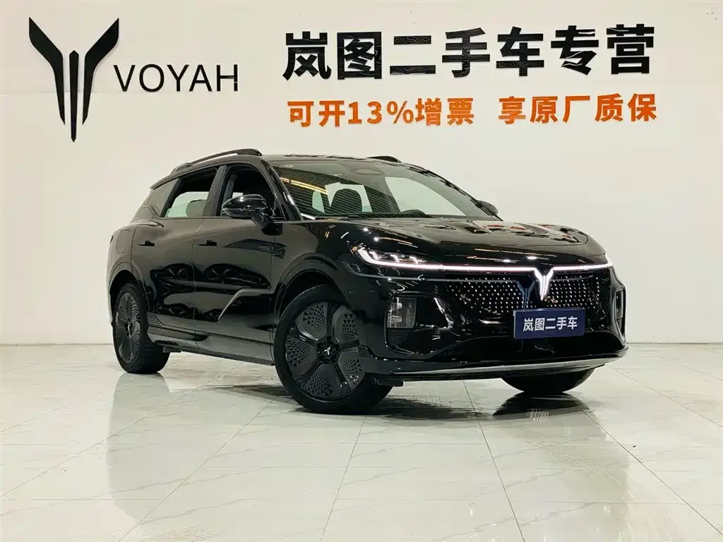 VOYAH Zhiyin 2024 из CN, фото 4